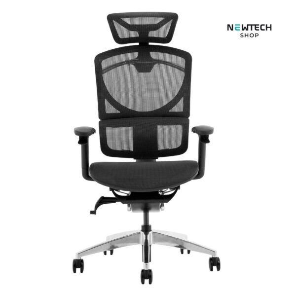 Ghế Công Thái Học GTChair Ivino 2