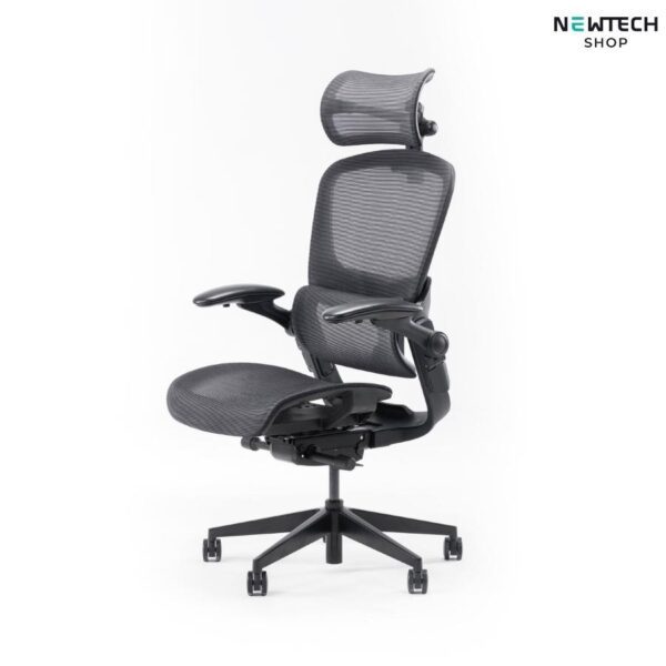 Ghế Epione Easy Chair 2.0