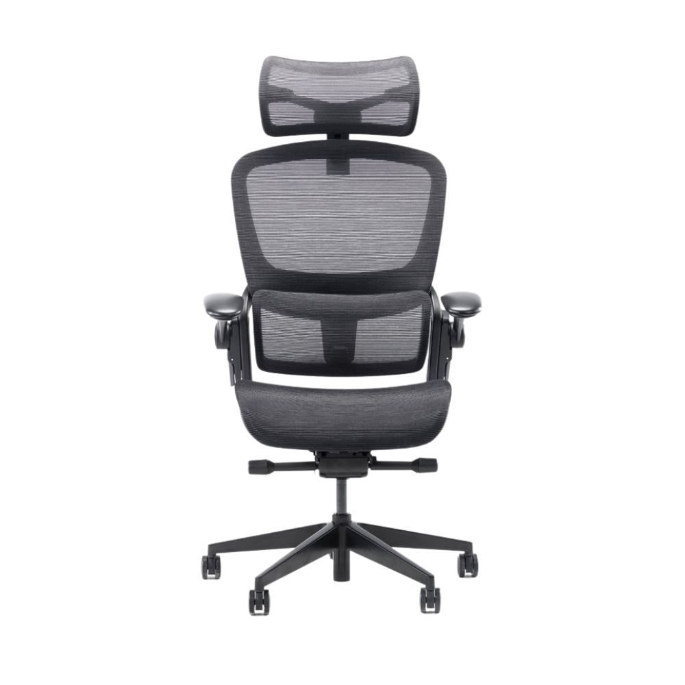 Ghế Epione Easy Chair 2.0