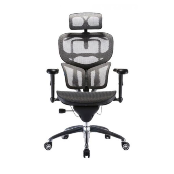 Ghế Công Thái Học Sihoo B7