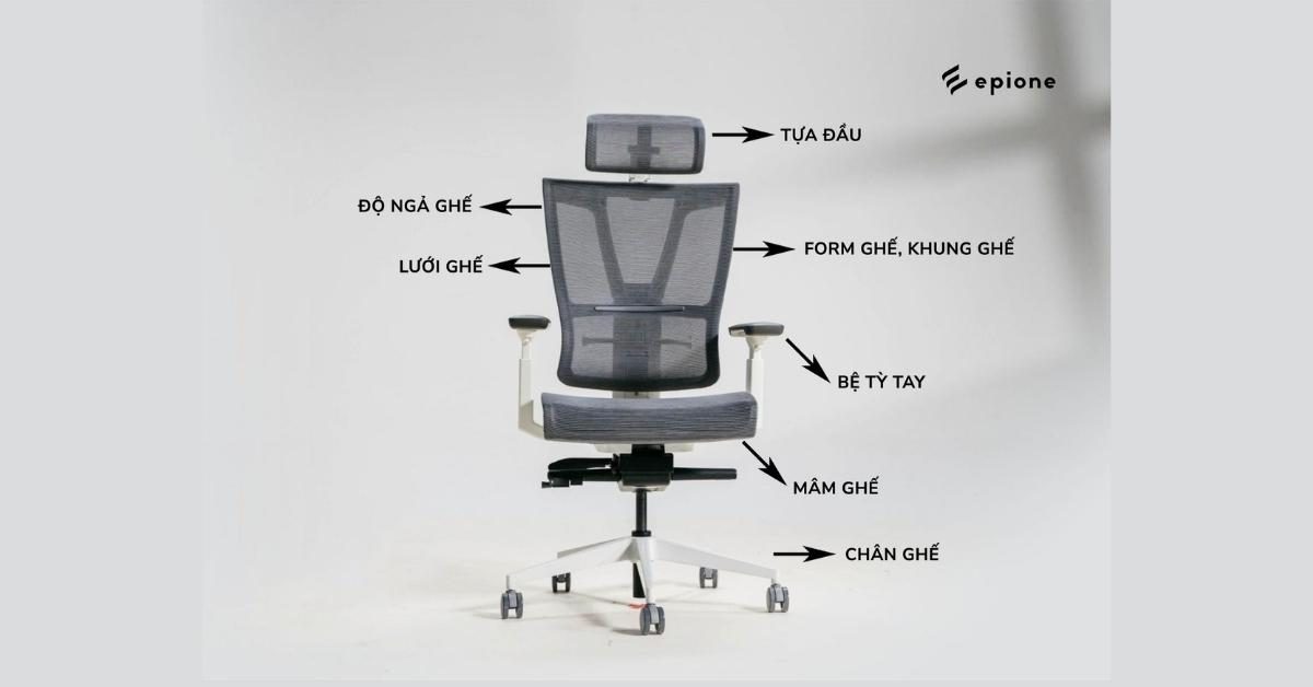 Cửa hàng mua ghế Công thái học HCM 5 Lưu ý chọn mua ghế công thái học hcm
