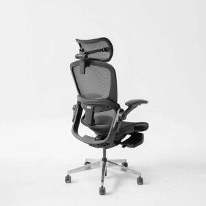 Ghế Epione Easy Chair SE