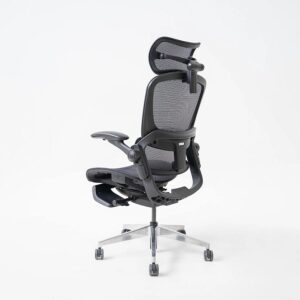 Ghế Epione Easy Chair SE