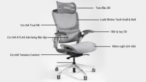 Ghế công thái học Epione Easy Chair