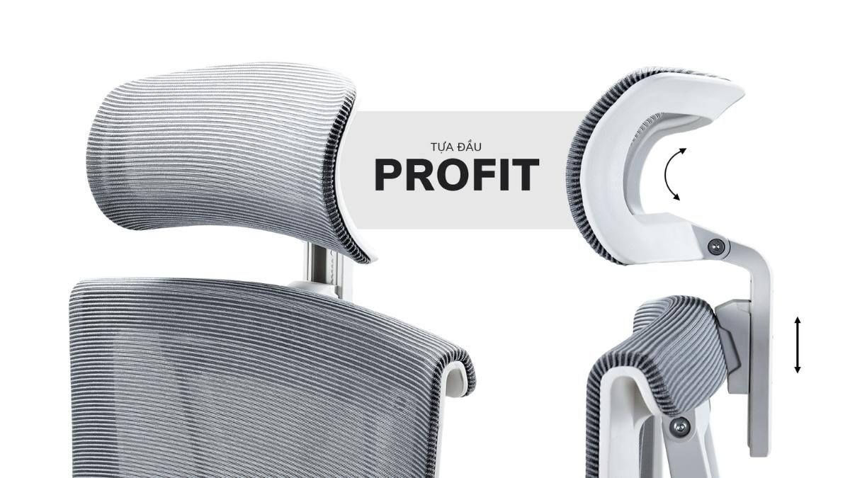 Ghế công thái học Epione ErgoChair Pro 2.0