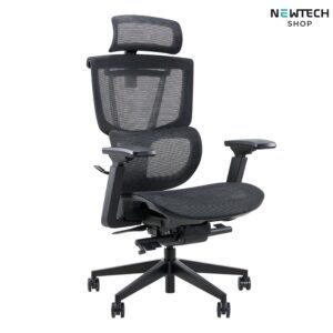 Ghế Epione ErgoChair Pro 2.0