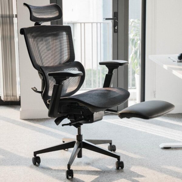 Ghế Công Thái Học Epione ErgoChair Pro 2.0 1