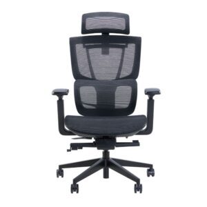Ghế Công Thái Học Epione ErgoChair Pro 2.0
