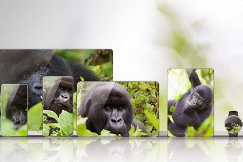 Kính cường lực Gorilla Glass 5 là gì? Có bị xước không? 1 Kính cường lực Gorilla Glass 5 ra mắt năm 2016 và được cải tiến qua nhiều thế hệ