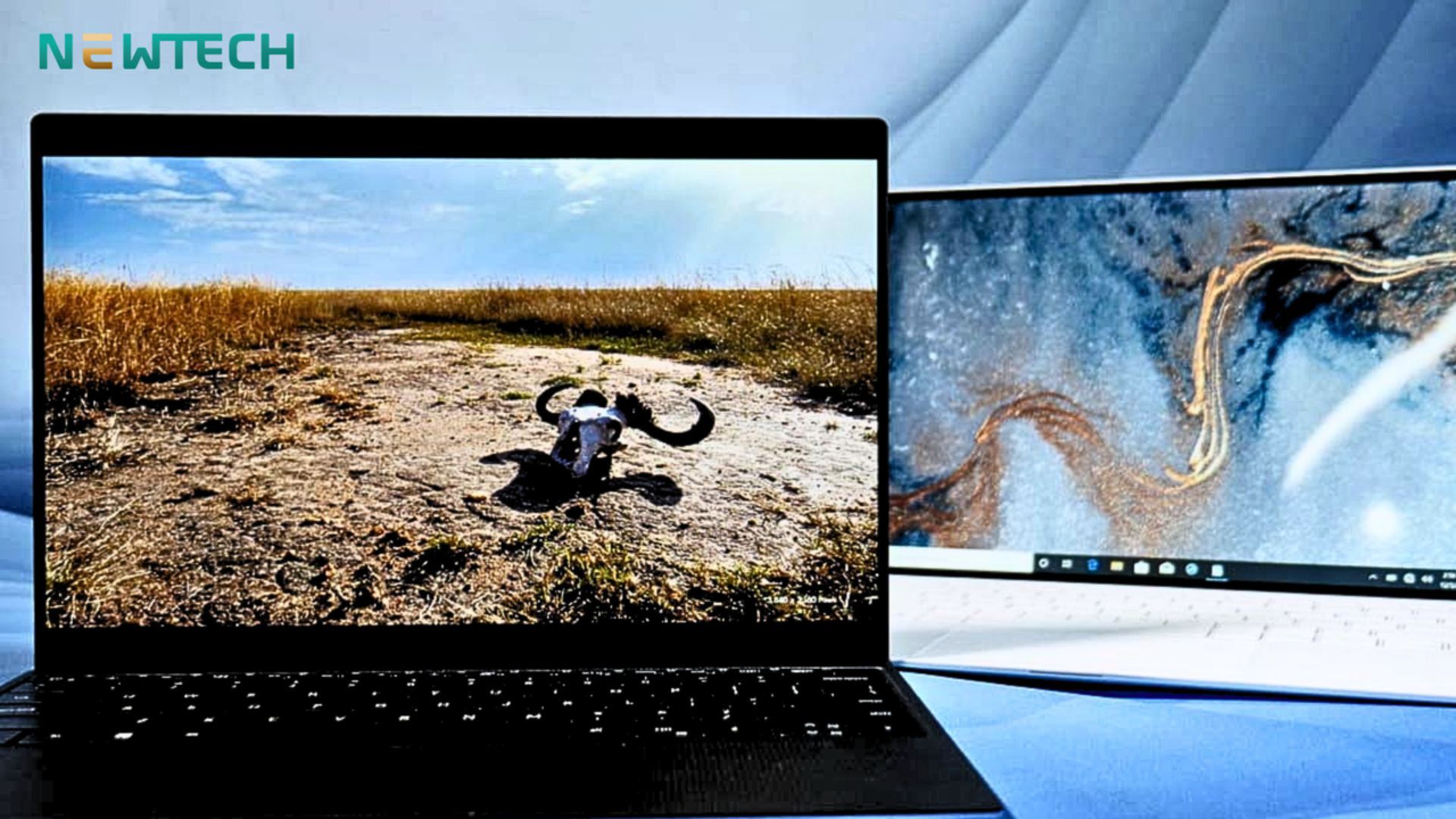 Laptop Doanh Nhân 2025 – Sự lựa chọn phù hợp