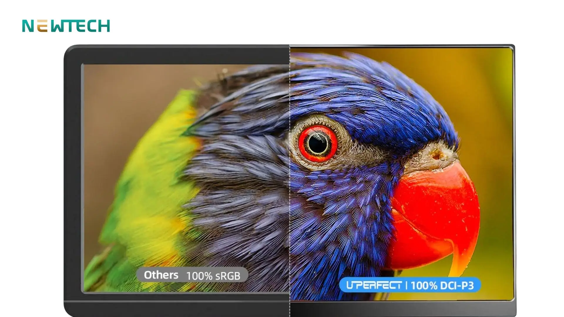 DCI-P3 có độ phủ màu vượt trội hơn so với sRGB 