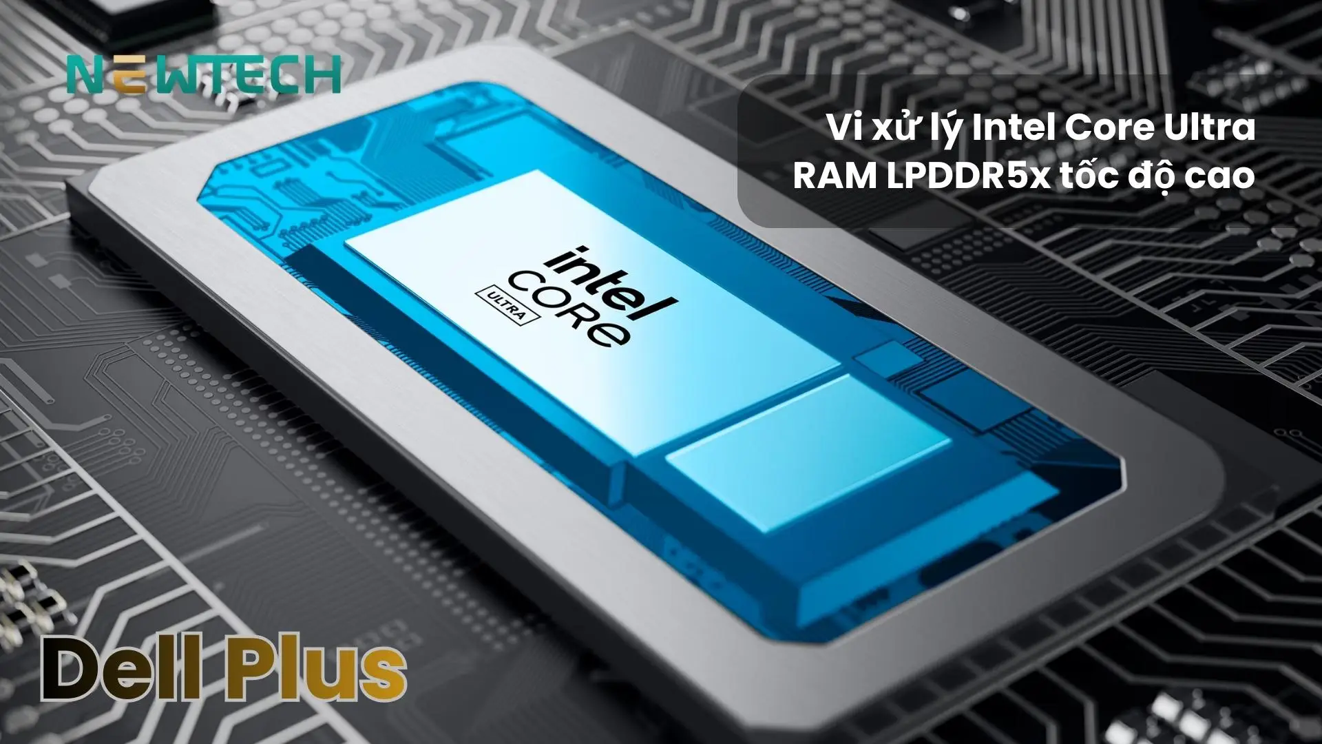 Cấu hình Dell Plus