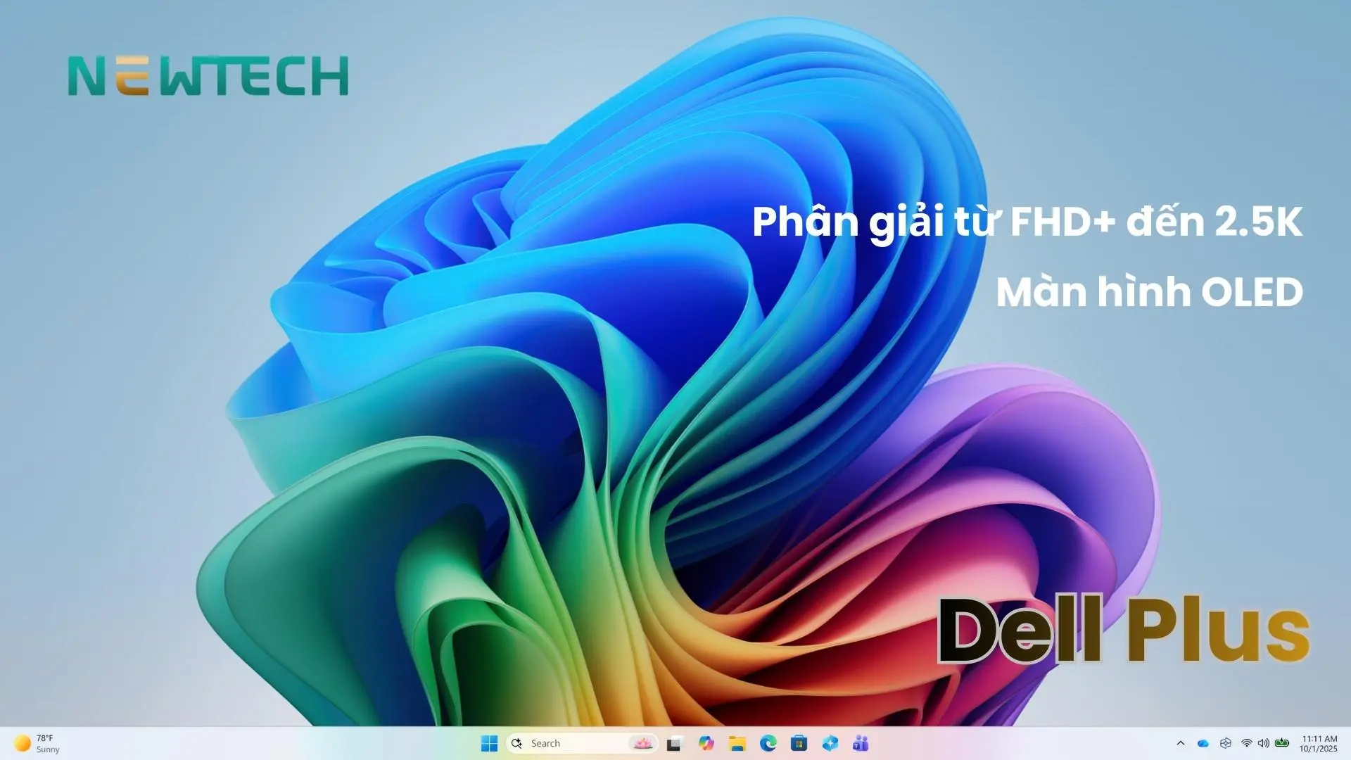 Màn hình Dell Plus