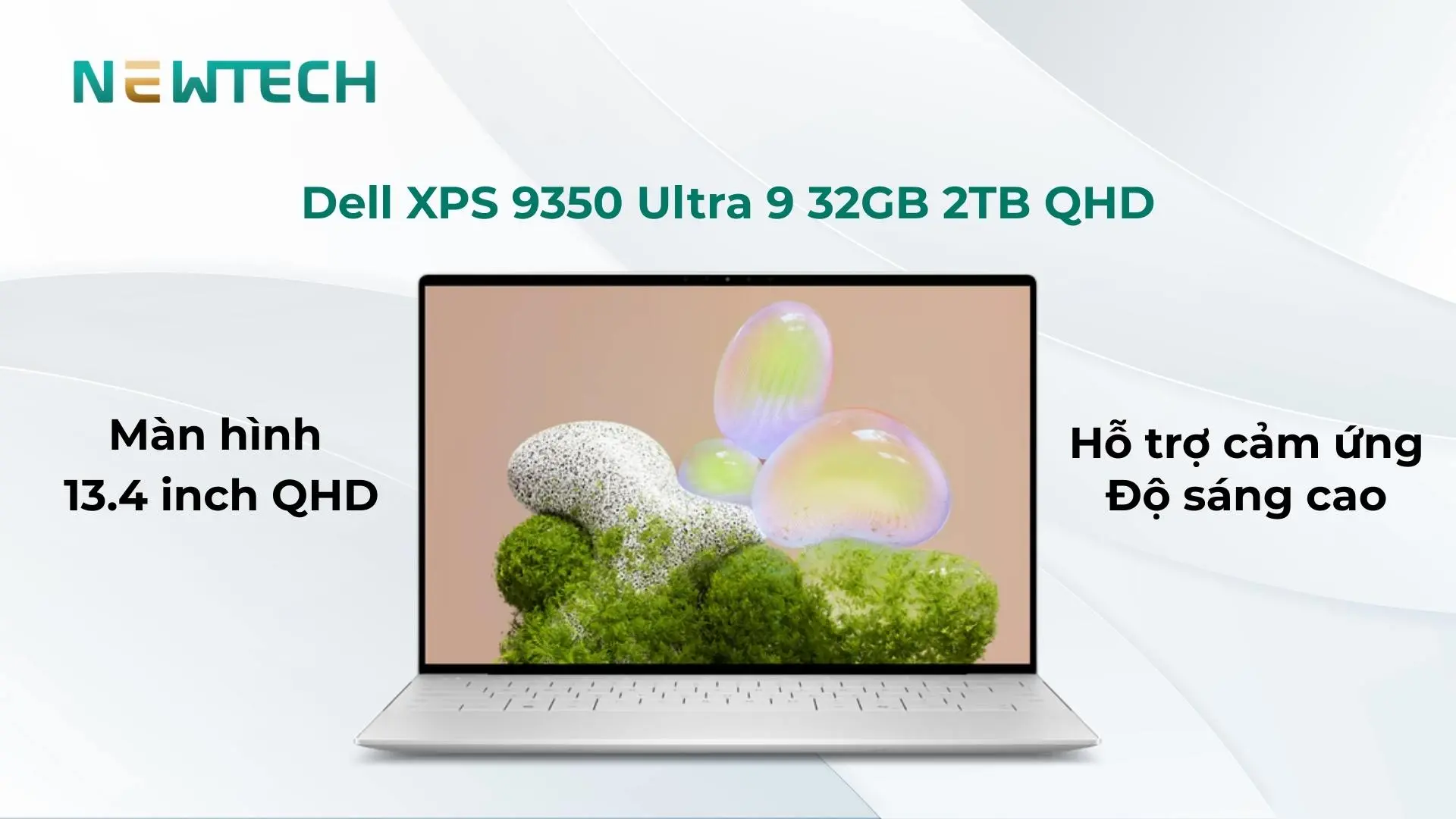 Màn hình QHD màu đẹp phục vụ đồ họa