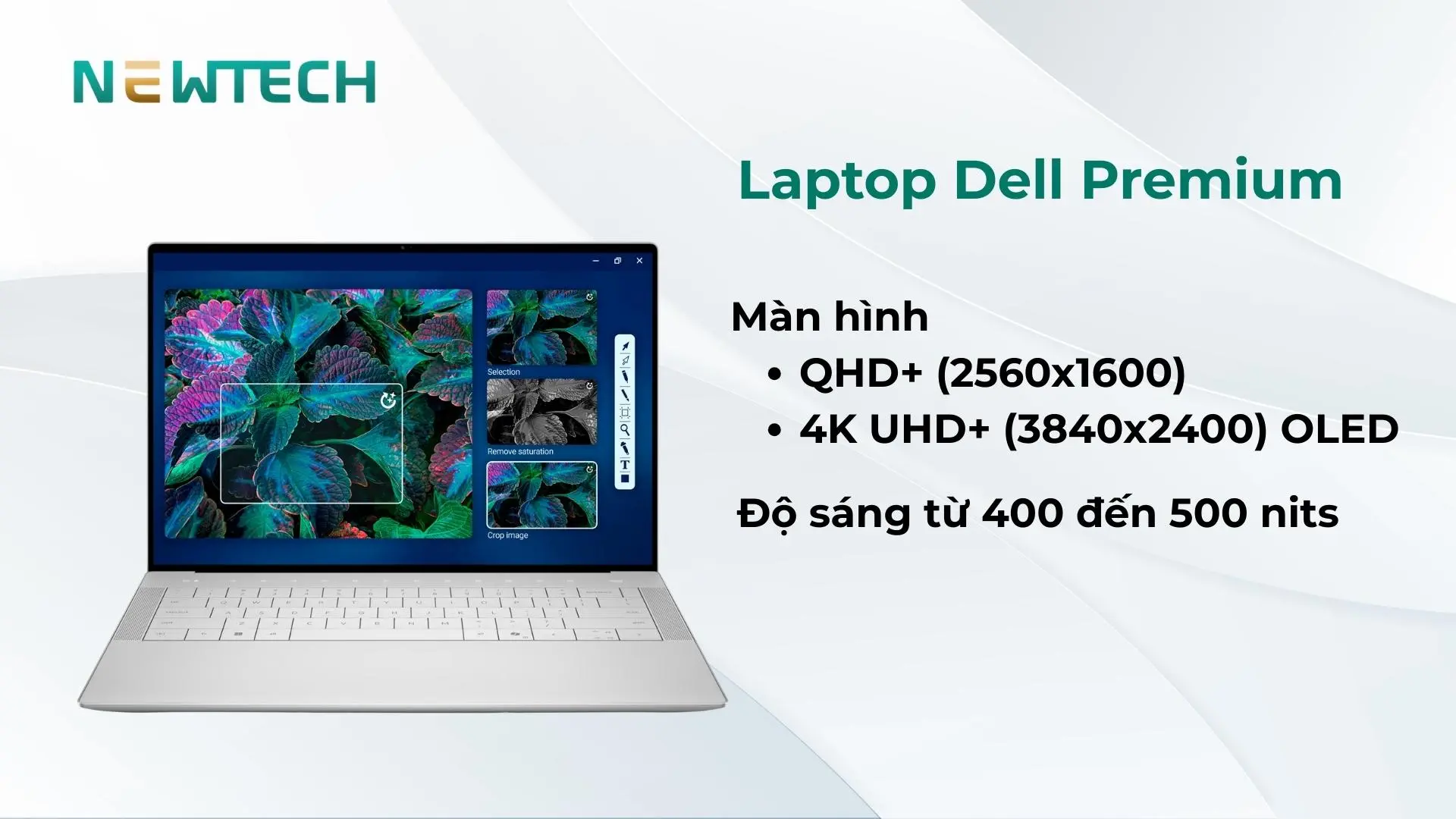 Màn hình laptop Dell Premium