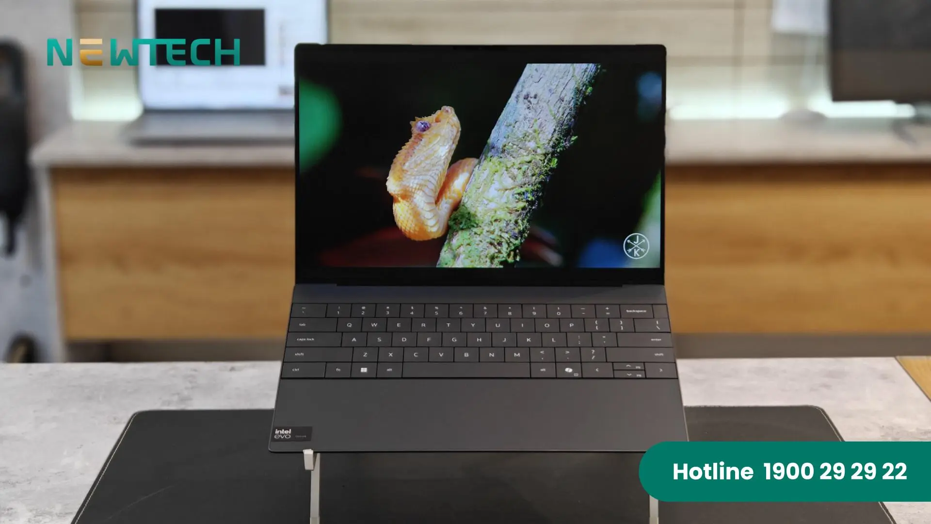 Mua Dell Premium Chính Hãng Tại NewTechShop